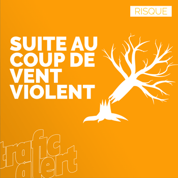 Risque de chutes d’arbres ou d’objets